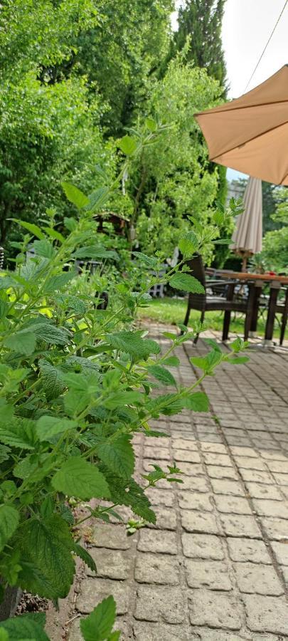 萨尔加斯特城堡公园酒店 Sallgast 外观 照片